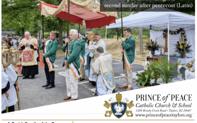 22 June 2025 Bulletin